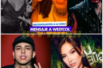 ¡Confusión total! Aida Victoria Merlano y Westcol: ¿es este el comienzo de una nueva historia?
