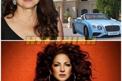 La mansión y los autos de Gloria Estefan en 2026! ¿Cómo maneja una fortuna millonaria con humildad?
