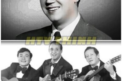 El Caótico Final de Alfredo Hill: De Ídolo a Leyenda Desvanecida