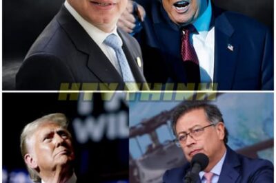 ¿Un futuro incierto para Colombia? Trump y Petro en la cuerda floja