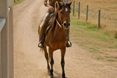 La mujer llegó a su primera cita montada a caballo, cubierta de lodo de pies a cabeza… y cuando el ranchero descubrió la razón detrás de aquella escena imposible, entendió que el destino le estaba enviando una señal inesperada