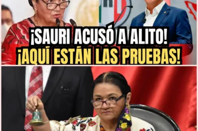 🚨 HACE 1 MINUTO: Dulce María Sauri ABANDONA el PRI y ACUSA a Alito… los Documentos PARALIZAN