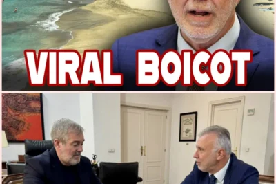 Polémica en Canarias por un incidente entre escoltas y una vecina durante la estancia de Ángel Víctor Torres