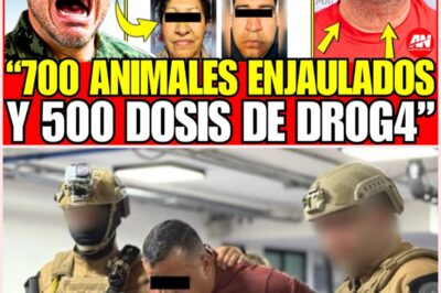 Cae presunto líder de “Los 300” tras operativos simultáneos en la Ciudad de México 🛑