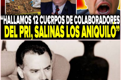 Hallazgo en Cuernavaca reabre el caso Ruiz Massieu tras más de tres décadas