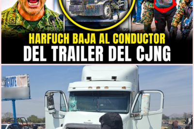 Operativo en Michoacán desmantela red criminal: detienen tráiler con 60 migrantes ocultos y droga en corredor estratégico
