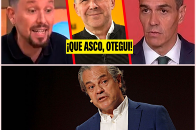 Las declaraciones de un exdiputado reavivan el debate sobre la profesionalización política y tensiones sociales en España