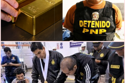 Golpe a la minería ilegal: desarticulan red “Los Kilates” que habría exportado más de 70 millones de dólares en oro ilícito