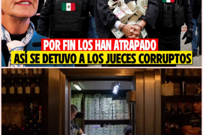 Operación sin precedentes expone presuntos vínculos entre jueces y redes criminales en México