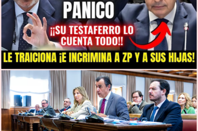 Tensa comparecencia en el Senado: un interrogatorio de alto voltaje en la comisión de investigación sobre el caso Plus Ultra