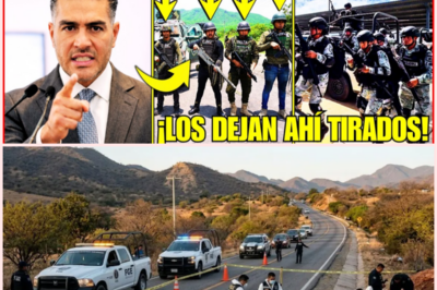 🚨 Horror en Guerrero: encuentran siete cuerpos sobre la carretera Tlapa–Olinalá