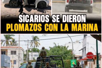 ASÍ fue la BALACERA contra MARINOS en Navolato: 1 sicario ABATIDO y fuerte OPERATIVO