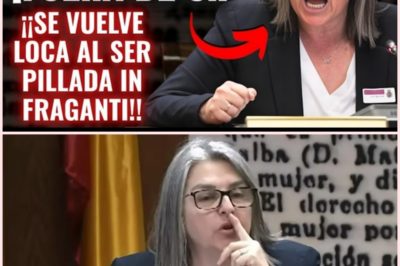 🚨 Senado en tensión máxima: Francisca Muñoz rompe el silencio en una comparecencia marcada por acusaciones, tarjetas y una red empresarial bajo sospecha