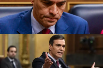 CRISIS JUDICIAL Y POLÍTICA EN TORNO A PEDRO SÁNCHEZ