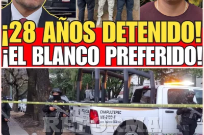 Balacera en Lomas de Chapultepec tras robo a vivienda deja un muerto, un detenido y reabre la alarma por las bandas especializadas