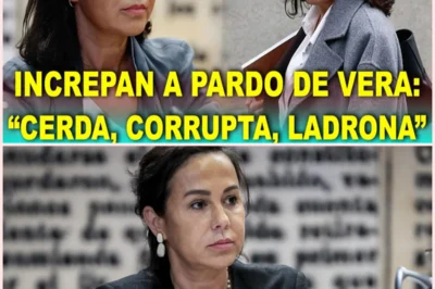 Tensión y abucheos ante el Supremo marcan la declaración de Isabel Pardo de Vera en el caso de las mascarillas
