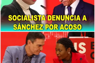 📰 Crisis en la Internacional Socialista: denuncia por acoso laboral sacude el liderazgo de Pedro Sánchez