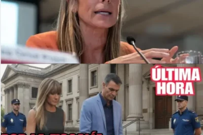 LA FISCALÍA MANTIENE SU PULSO CON EL CASO BEGOÑA GÓMEZ