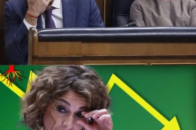 EL PSOE ANDALUZ AFRONTA SU MOMENTO