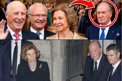 DON JUAN CARLOS REACCIONA ANTE EL