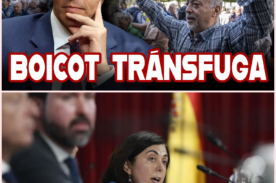 🏛️ Crisis política en Lugo: una concejala socialista rompe la disciplina de voto y provoca el cambio de gobierno municipal tras 27 años de hegemonía progresista