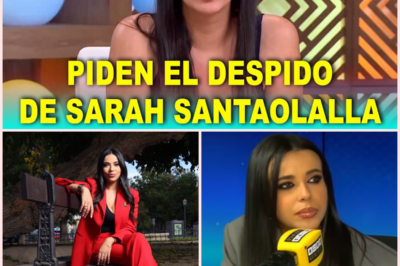 📺 Crecen las exigencias de cese para la tertuliana Sara Santaolalla en RTVE tras acusar a jueces y policías de orquestar un golpe de Estado
