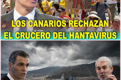 🚢⚠️ Canarias exige explicaciones a Sánchez tras la crisis del crucero MV Hondius afectado por hantavirus