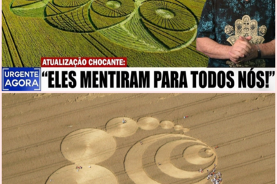 El enigma de los agroglifos: Cuando la Inteligencia Artificial se rinde ante un código sin respuesta