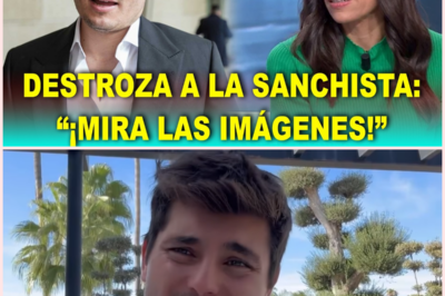 📺🔥 Vito Quiles revienta el plató en Telemadrid y deja sin argumentos a Pilar Velasco tras el polémico episodio con Begoña Gómez