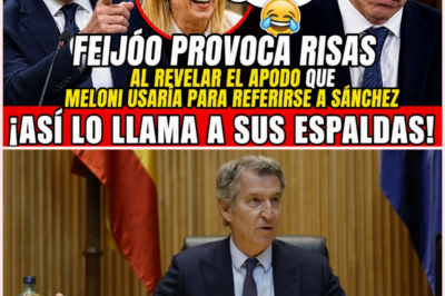 🇪🇸 Feijóo ironiza en el Congreso y provoca risas al mencionar un supuesto apodo de Meloni para Sánchez en un tenso debate político sobre inmigración, seguridad y política internacional