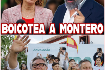 📍🏛️ Vox exhibe músculo en Sevilla con un multitudinario cierre de campaña y aumenta la presión sobre la mayoría del PP en Andalucía