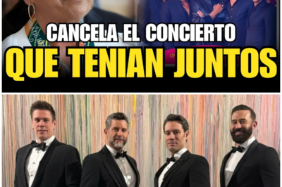 Reconfiguración drástica en el Icónica Santalucía Sevilla Fest: Il Divo cancela su participación conjunta con Isabel Pantoja en la Plaza de España