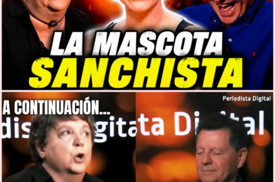 📰 Polémica en el debate mediático por las críticas de Alicia Bódalo hacia la colaboradora Sarah Santaolalla y su presencia en televisión