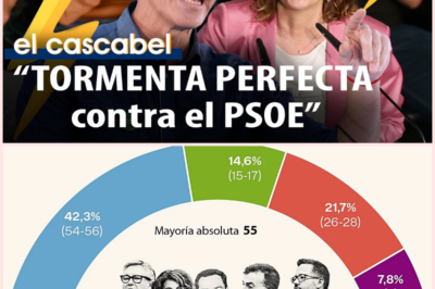 📉 Vuelco sociológico en el sur: El desplome del PSOE andaluz abre las puertas a una histórica mayoría absoluta del PP