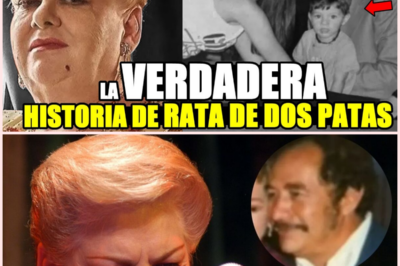 📰🎤 Paquita la del Barrio y el verdadero origen de “Rata de dos patas”: entre el desamor, la polémica y las versiones no confirmadas