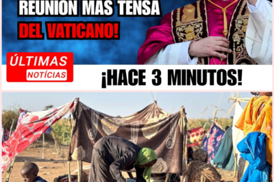 El Papa León XIV presenta una declaración sobre la crisis humanitaria en el Sahel y propone medidas de intervención internacional