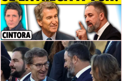 Análisis de las Elecciones Andaluzas: El Partido Popular y Vox