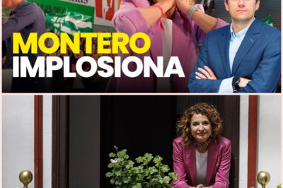 📉 El naufragio demoscópico del socialismo andaluz: La campaña de María Jesús Montero se hunde entre errores de comunicación y pasados judiciales