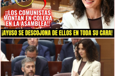 🏛️ Choque total en la Asamblea de Madrid: Ayuso y Más Madrid se enfrentan por la memoria histórica, la vivienda y el sumario de Plus Ultra