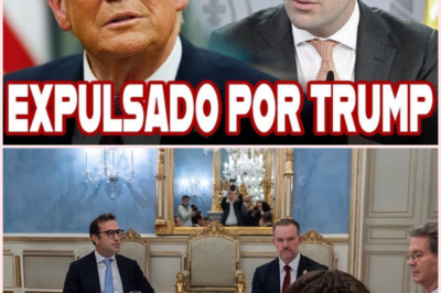 🌐 Controversia diplomática por la ausencia de España en una reunión económica internacional en EE. UU.