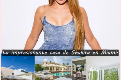 Así es la impresionante casa de Shakira en Miami: piscina de lujo, gimnasio privado y vistas a la Bahía Biscayne