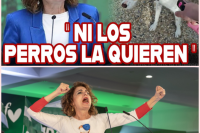 🐶 Un vídeo viral en redes reabre el debate político en Andalucía en plena precampaña electoral