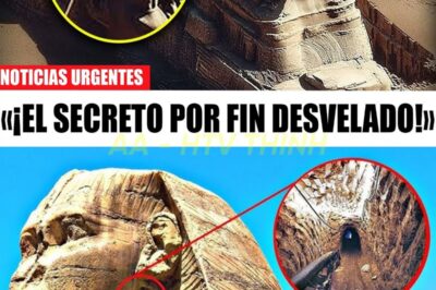 ¡ESCALOFRIANTE! Abren un acceso secreto debajo de los ojos de la Esfinge… ¡míralo antes de que lo borren!