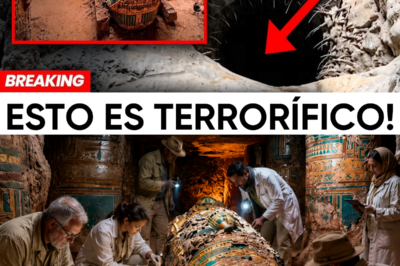 ¡ABRIERON UNA CUEVA SELLADA DURANTE 40.000 AÑOS… Y LO QUE ENCONTRARON DENTRO ESTÁ SACUDIENDO A TODO EL MUNDO!