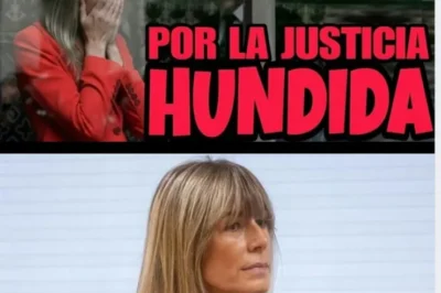 LA AUDIENCIA DE MADRID REABRE EL