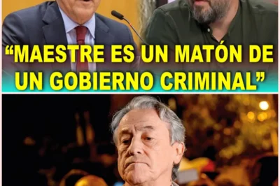 📰 Hermann Tertsch carga con dureza contra Antonio Maestre tras su testimonio televisivo sobre acoso
