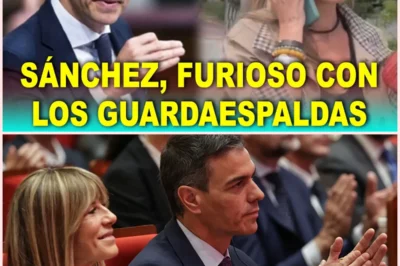 🚨 Pedro Sánchez estalla en La Moncloa tras el incidente entre Vito Quiles y Begoña Gómez: tensión, escoltas y crisis mediática