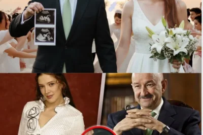 EL SUPUESTO RENACER A LOS 57 AÑOS ENTRE