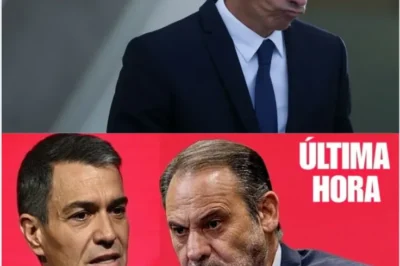 ÁBALOS DECLARA ANTE EL TRIBUNAL