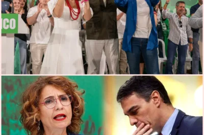 🗳️📉 El último barómetro en Andalucía sitúa al PSOE en retroceso histórico mientras el PP consolida su liderazgo a días de las elecciones